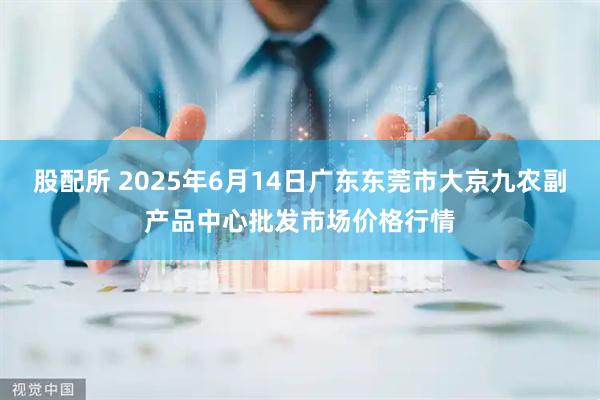 股配所 2025年6月14日广东东莞市大京九农副产品中心批发市场价格行情