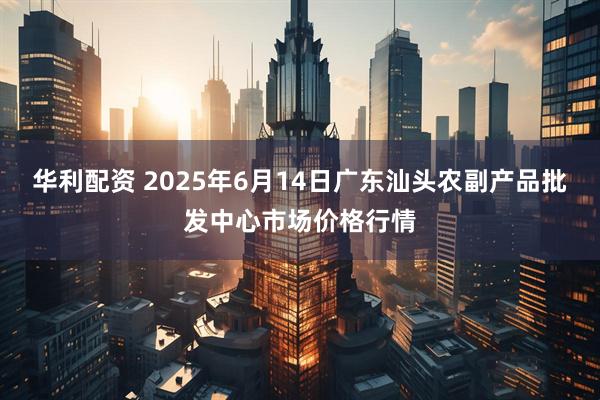 华利配资 2025年6月14日广东汕头农副产品批发中心市场价格行情