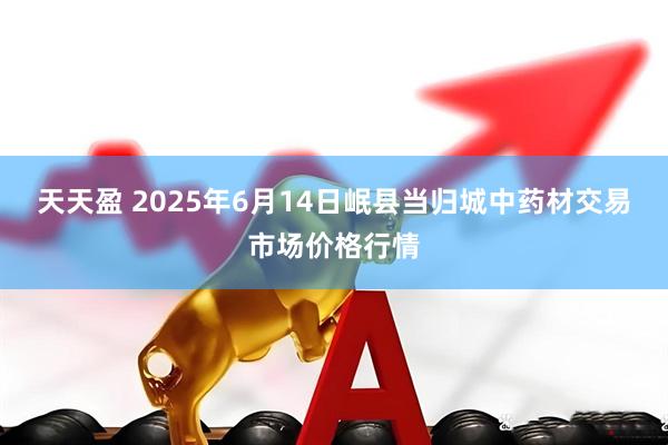 天天盈 2025年6月14日岷县当归城中药材交易市场价格行情