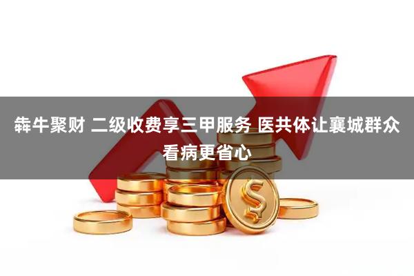 犇牛聚财 二级收费享三甲服务 医共体让襄城群众看病更省心