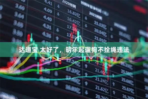 达道宝 太好了，明年起遛狗不拴绳违法