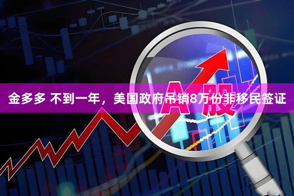 金多多 不到一年，美国政府吊销8万份非移民签证