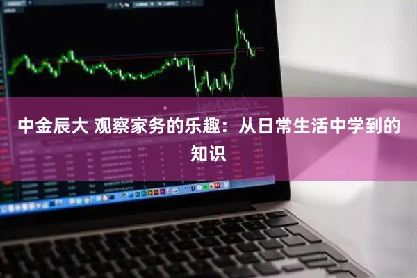 中金辰大 观察家务的乐趣：从日常生活中学到的知识