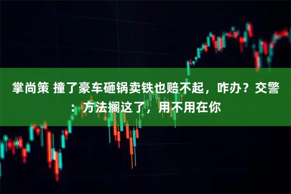 掌尚策 撞了豪车砸锅卖铁也赔不起，咋办？交警：方法搁这了，用不用在你